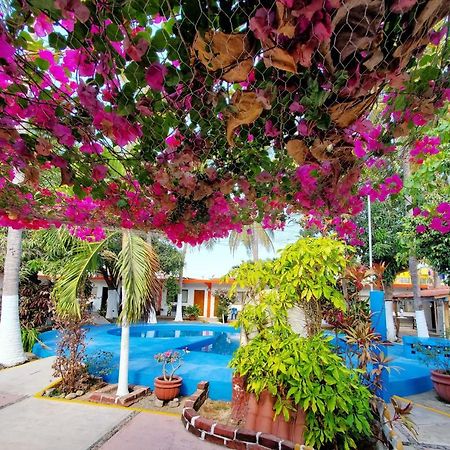 Hotel Oasis Melaque サン・パトリシオ・メラケ エクステリア 写真