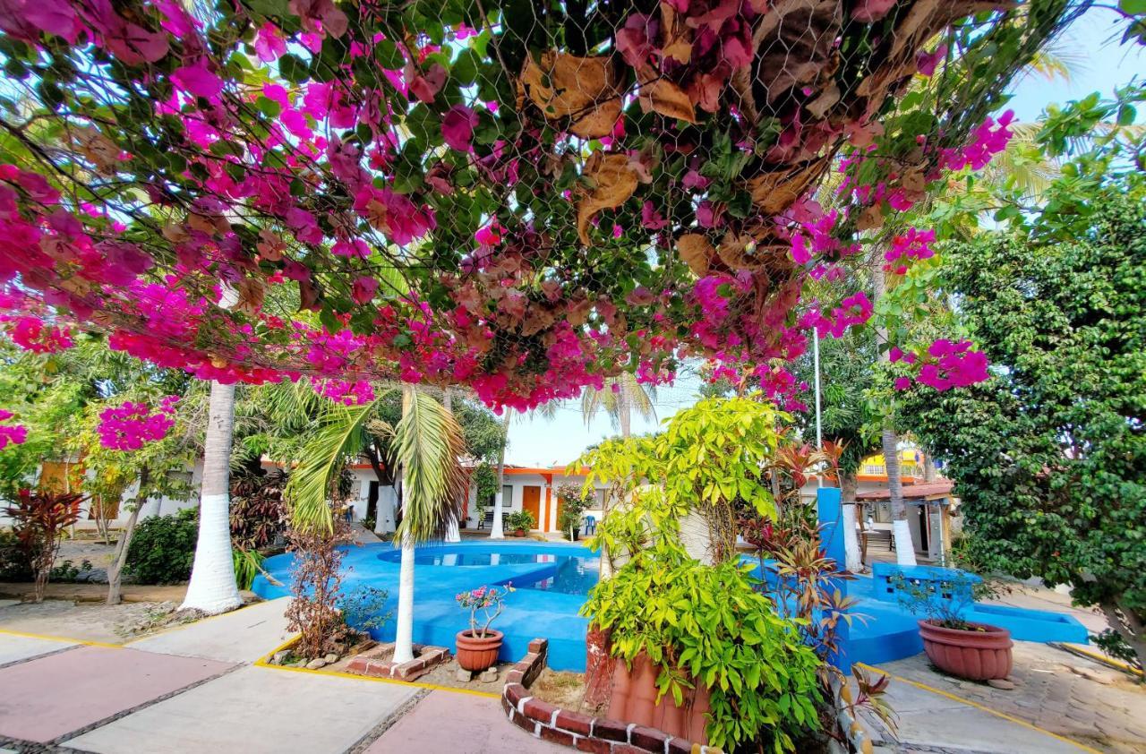 Hotel Oasis Melaque サン・パトリシオ・メラケ エクステリア 写真