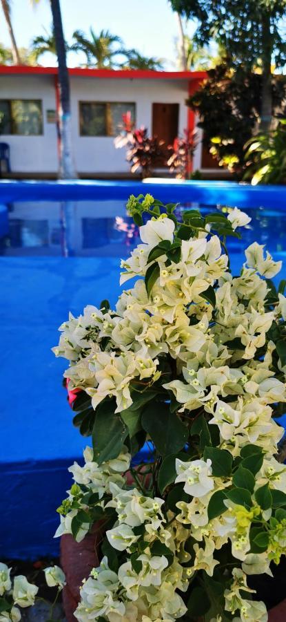 Hotel Oasis Melaque サン・パトリシオ・メラケ エクステリア 写真